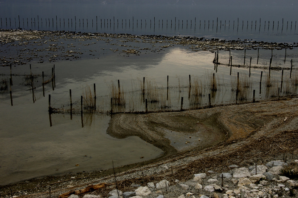 lac du Bourget 18