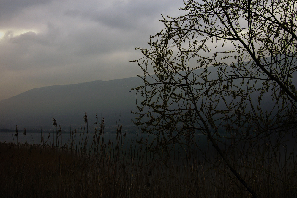 lac du Bourget 19