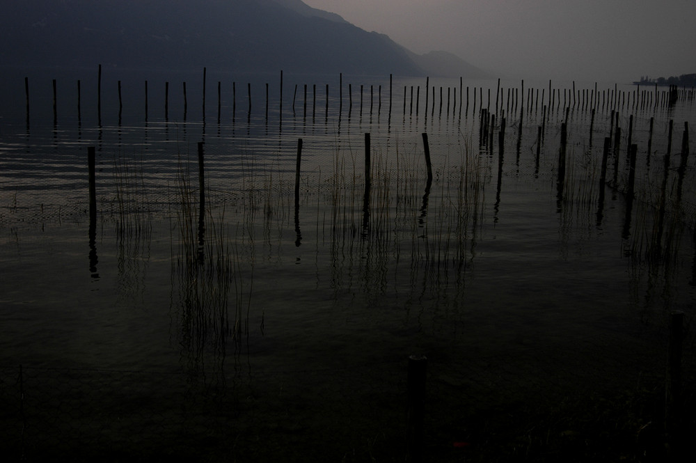 lac du Bourget 21