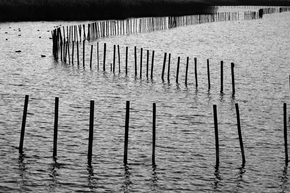 Lac du Bourget.