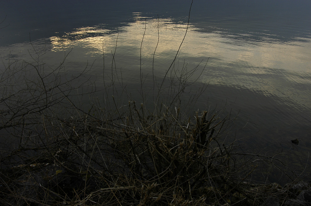 lac du Bourget 6