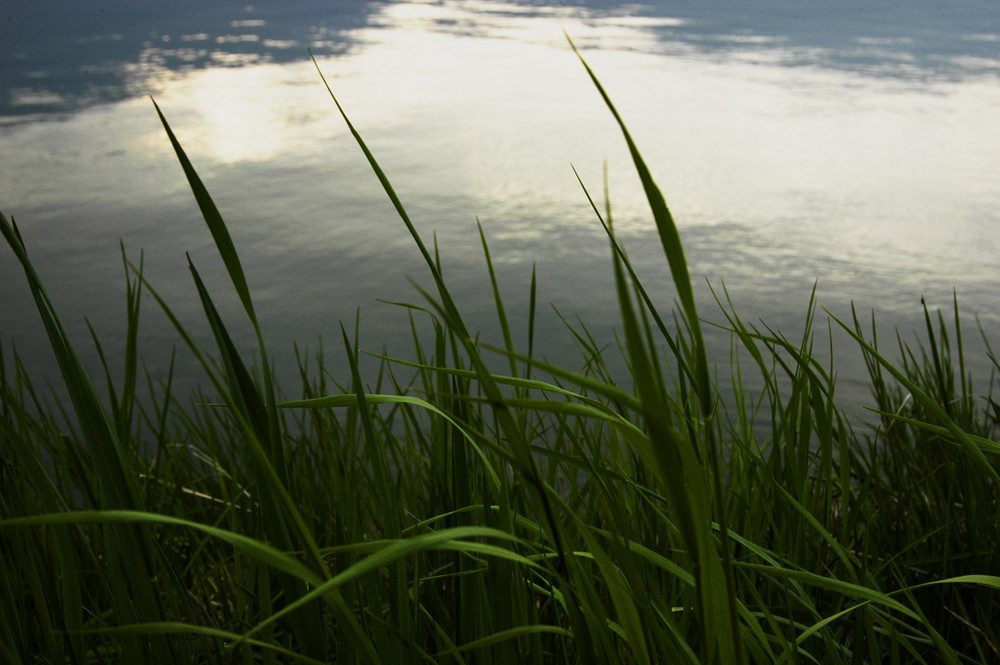 lac du Bourget 7