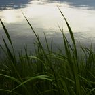 lac du Bourget 7