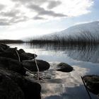 Lac du Bourget