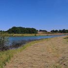 Lac du Bousquetara (Caussens – Gers) Vue vers le sud - Bousquetara-See : Blick nach Süden