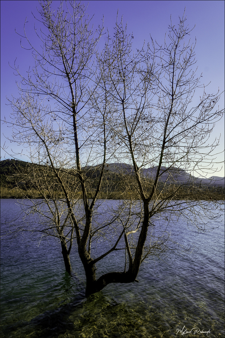 lac du Broc