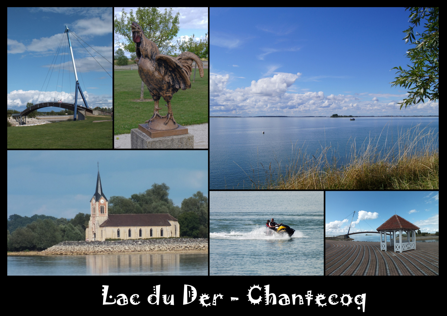 Lac du Der - Chantecoq