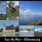 Lac du Der - Chantecoq