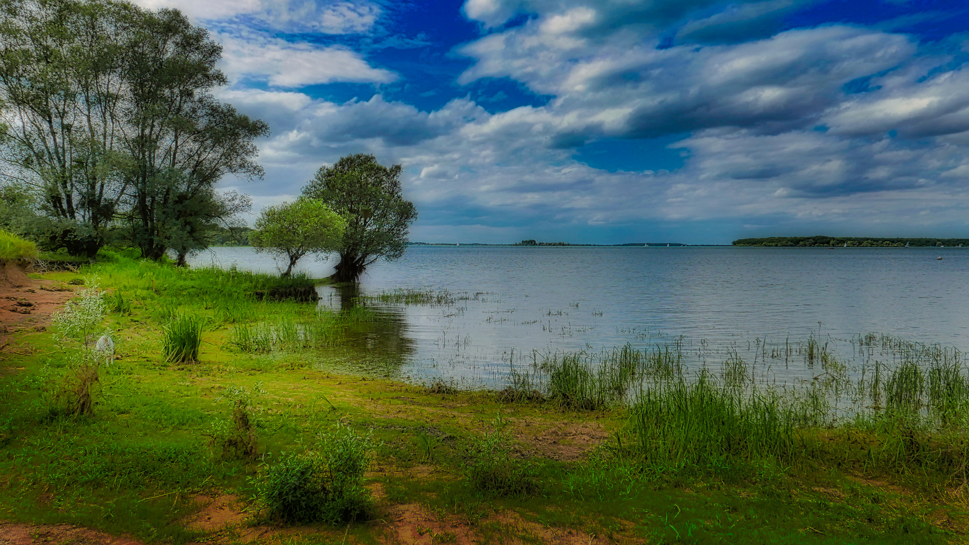 Lac Du Der Chantecoque 