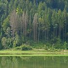 Lac du Doubs nach dem Regen