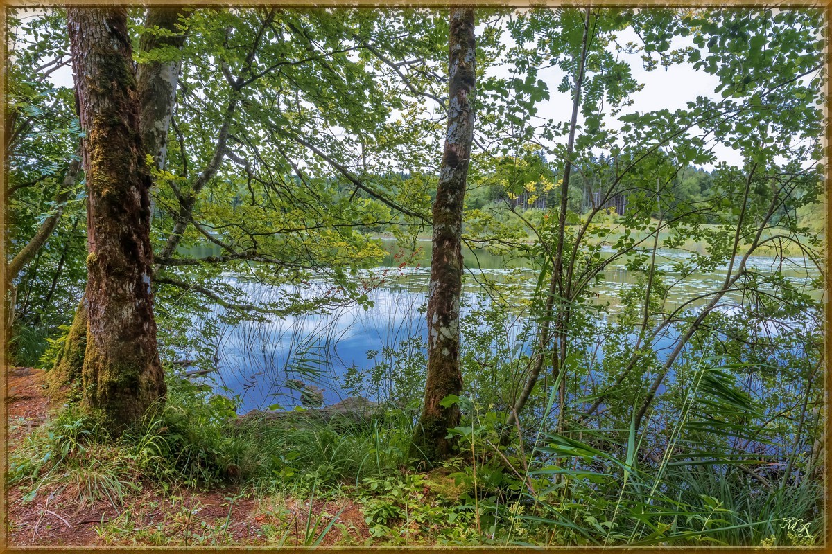 Lac du Jura