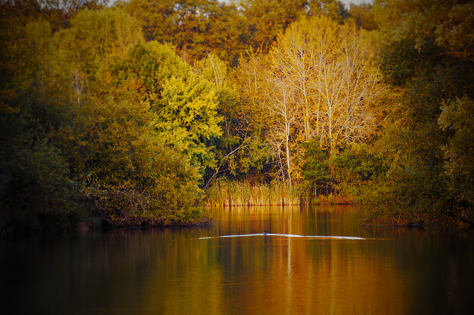 Lac du manet