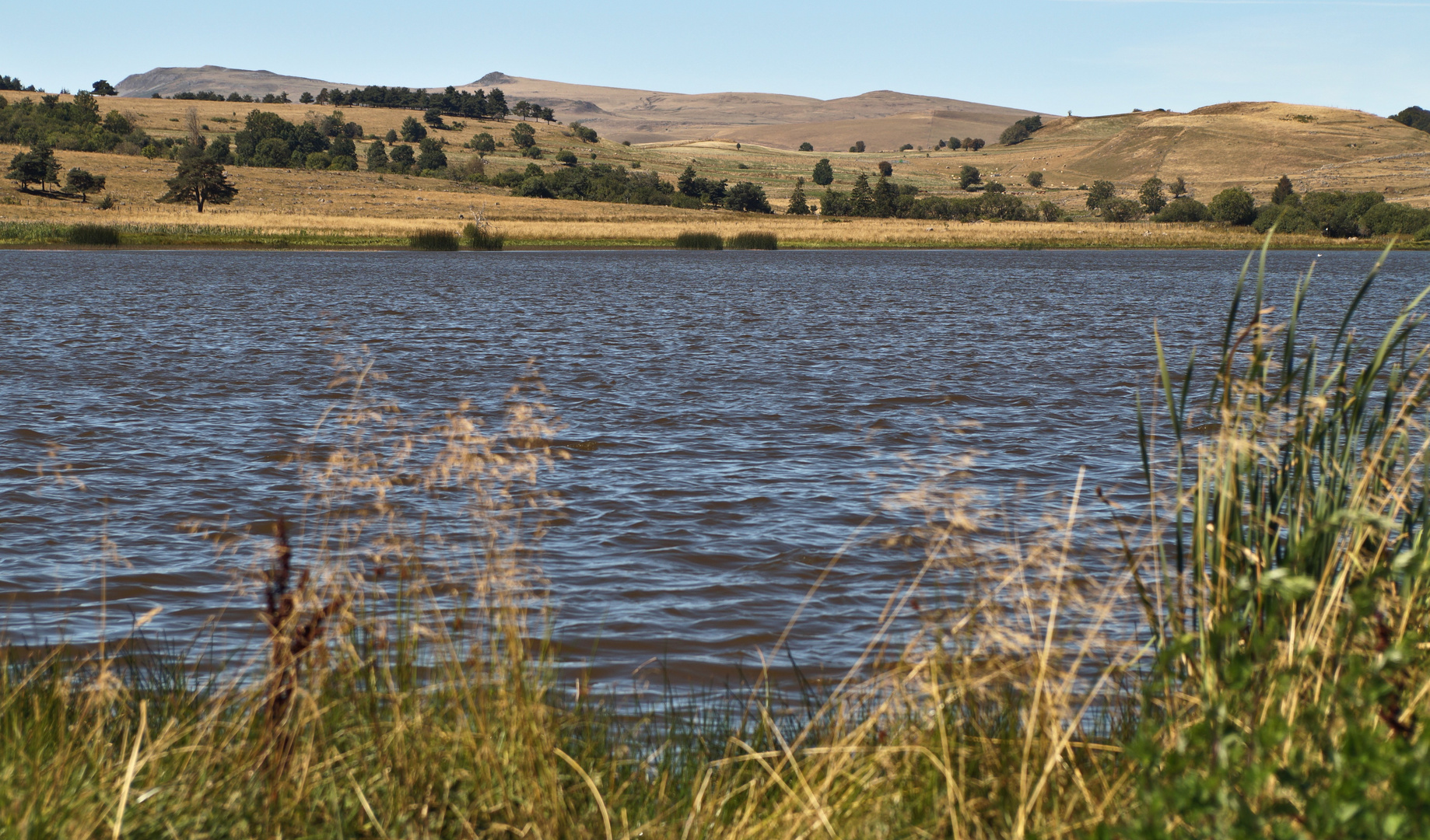 Lac du pêcher