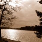 Lac du Setton Nièvre le 09/01/2014