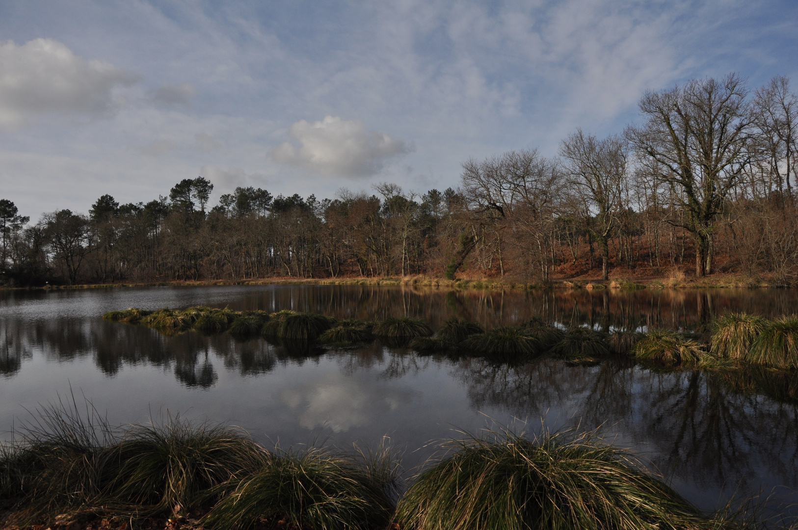 lac d'ychoux ... la main de l'homme