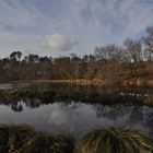 lac d'ychoux ... la main de l'homme