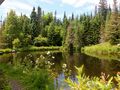 Lac en forêt de Mahina 