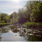 Lac en habit de soirée