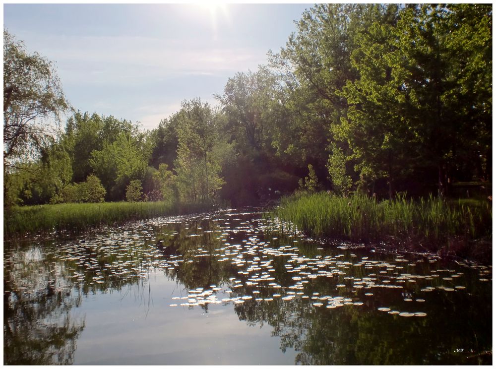 Lac en habit de soirée