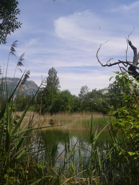 lac et nature