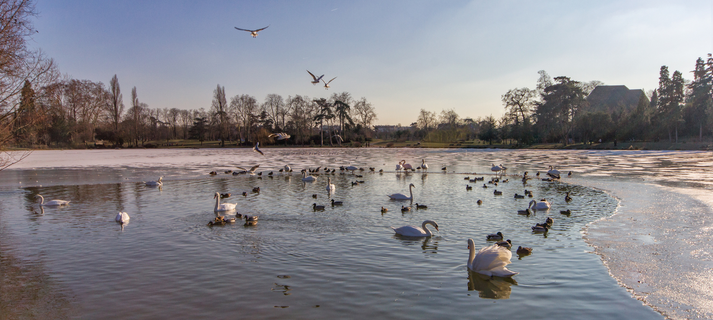 Lac gelé