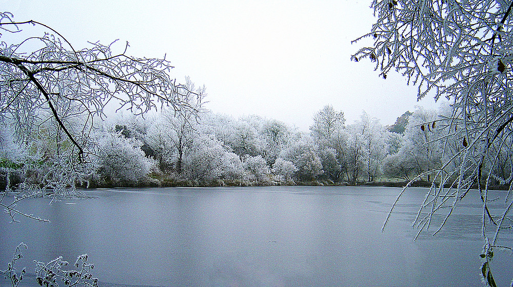 Lac gelé et givré dans le Gers -- Vereister See mit Reif in dem Gers