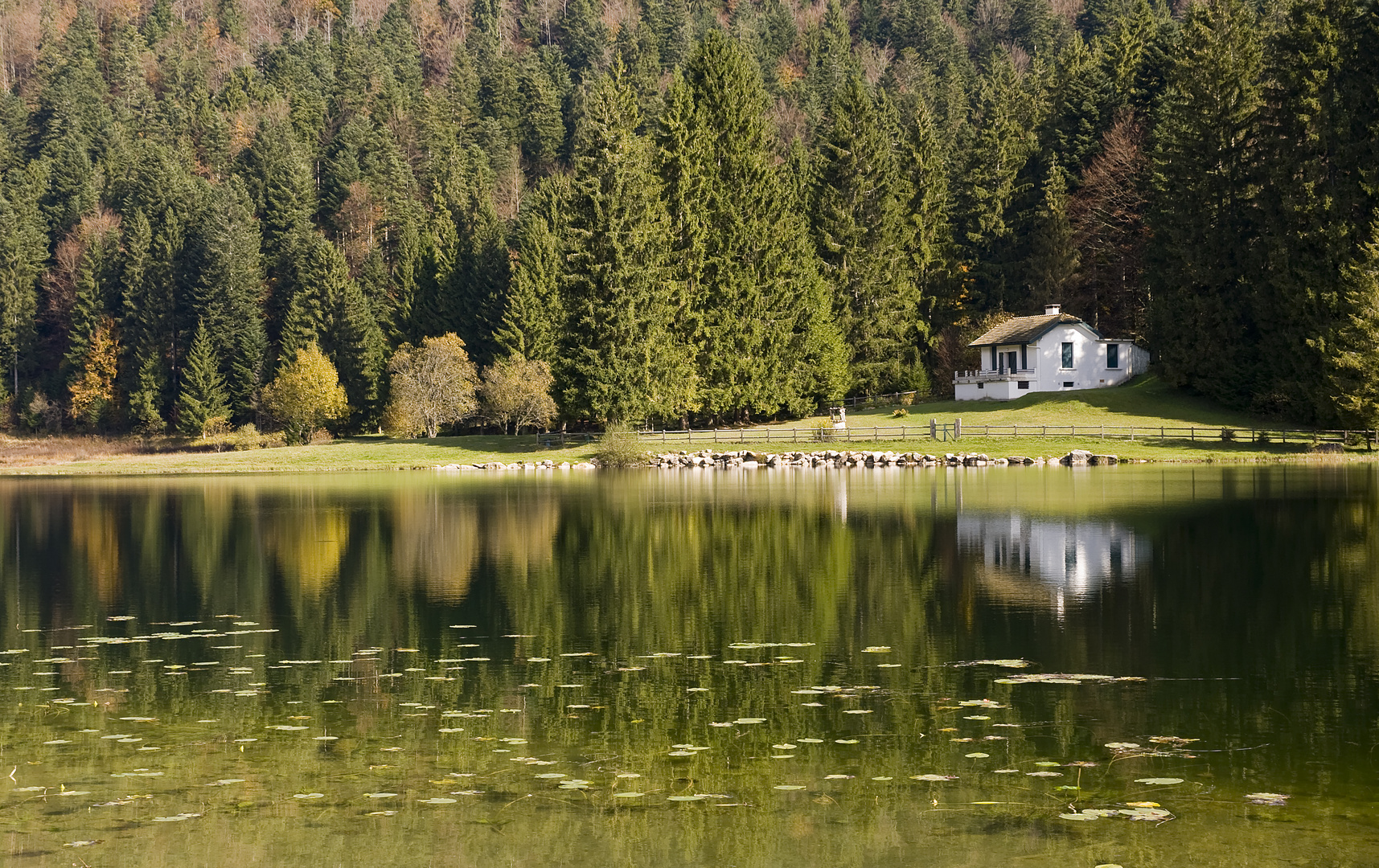 Lac Genin