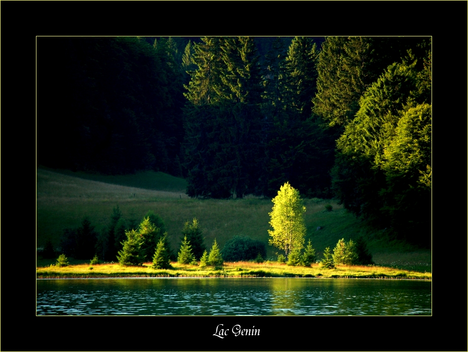 Lac Genin