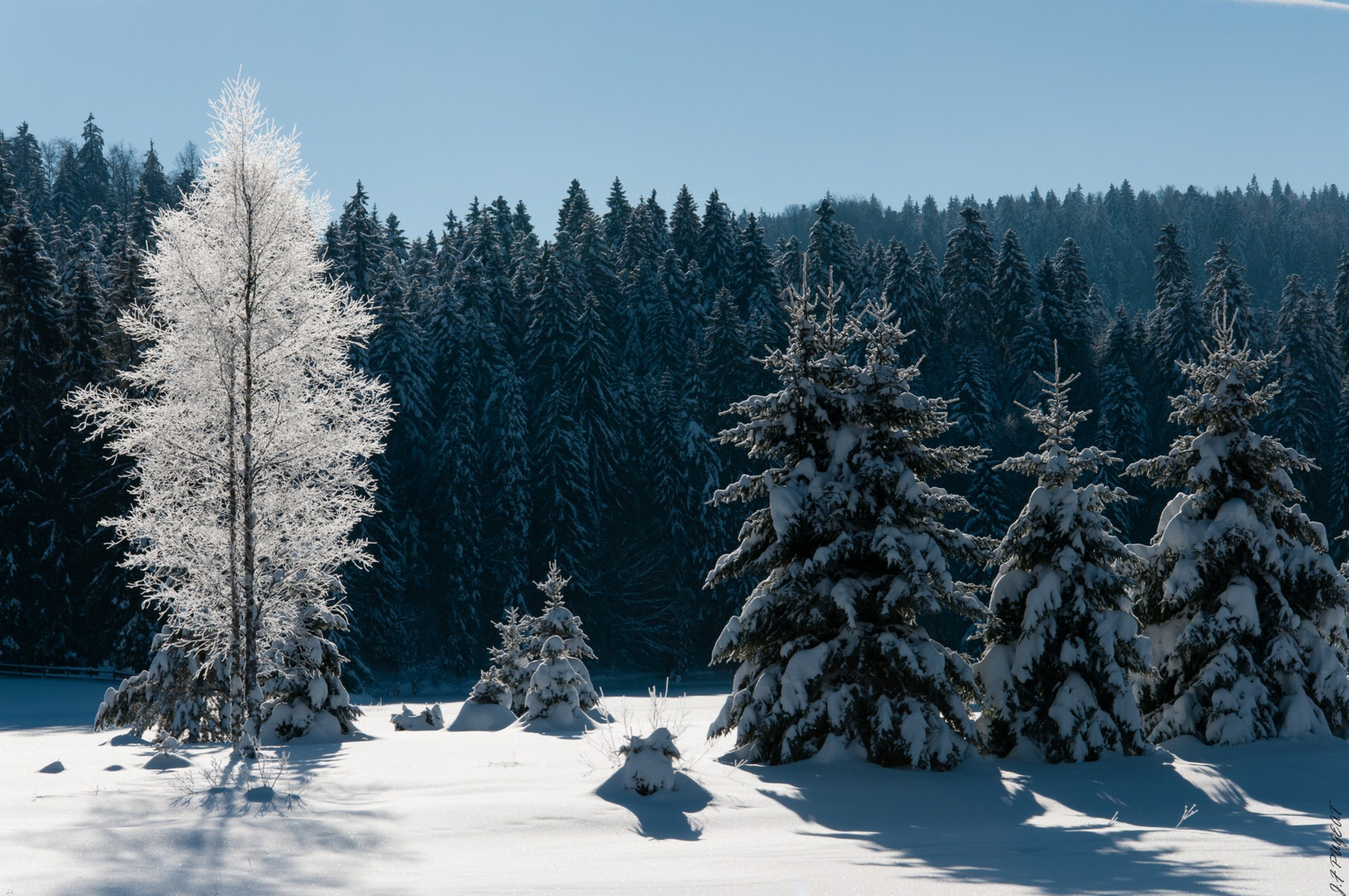 Lac Genin sous la neige