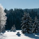 Lac Genin sous la neige