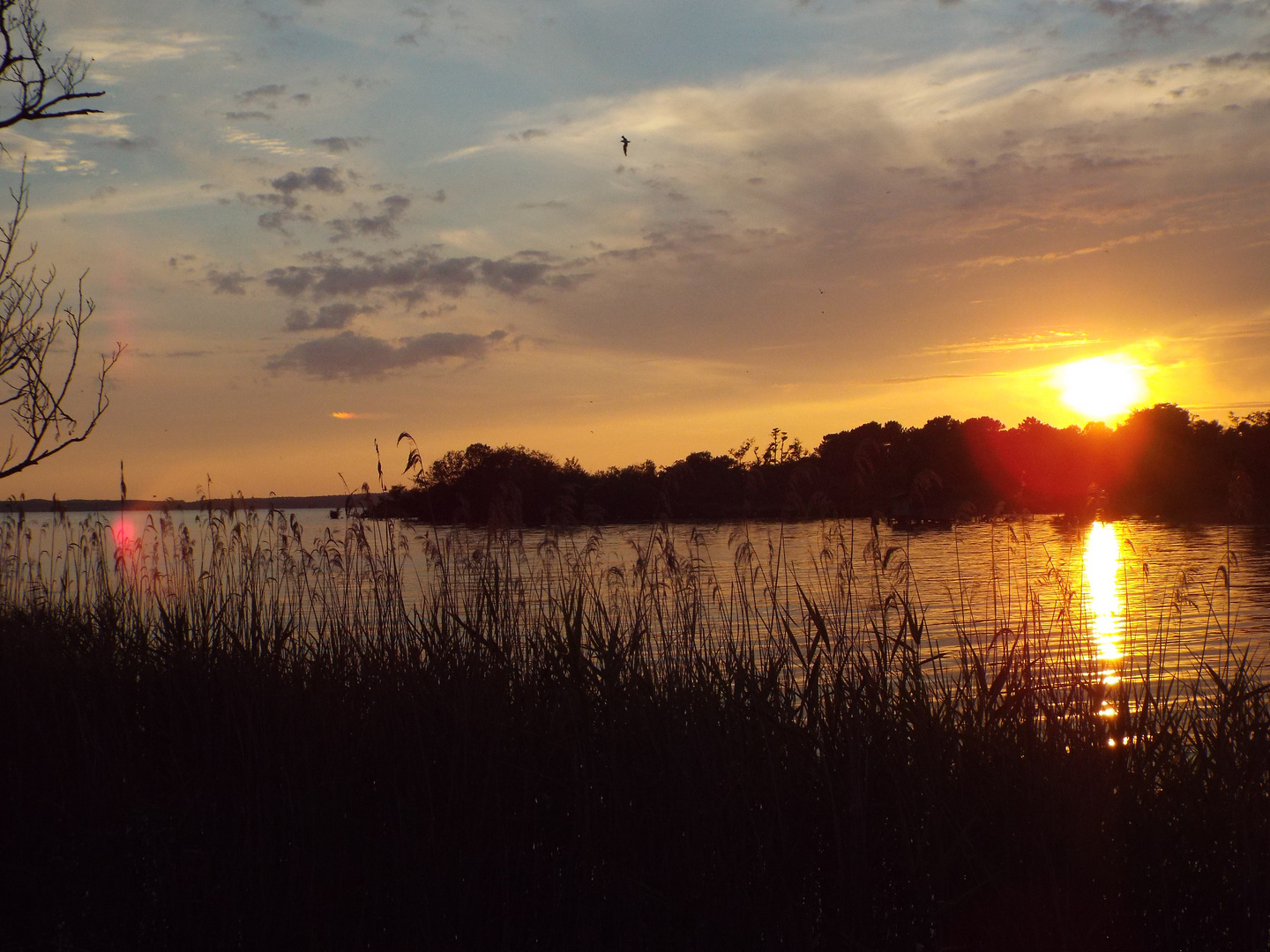 lac le soir