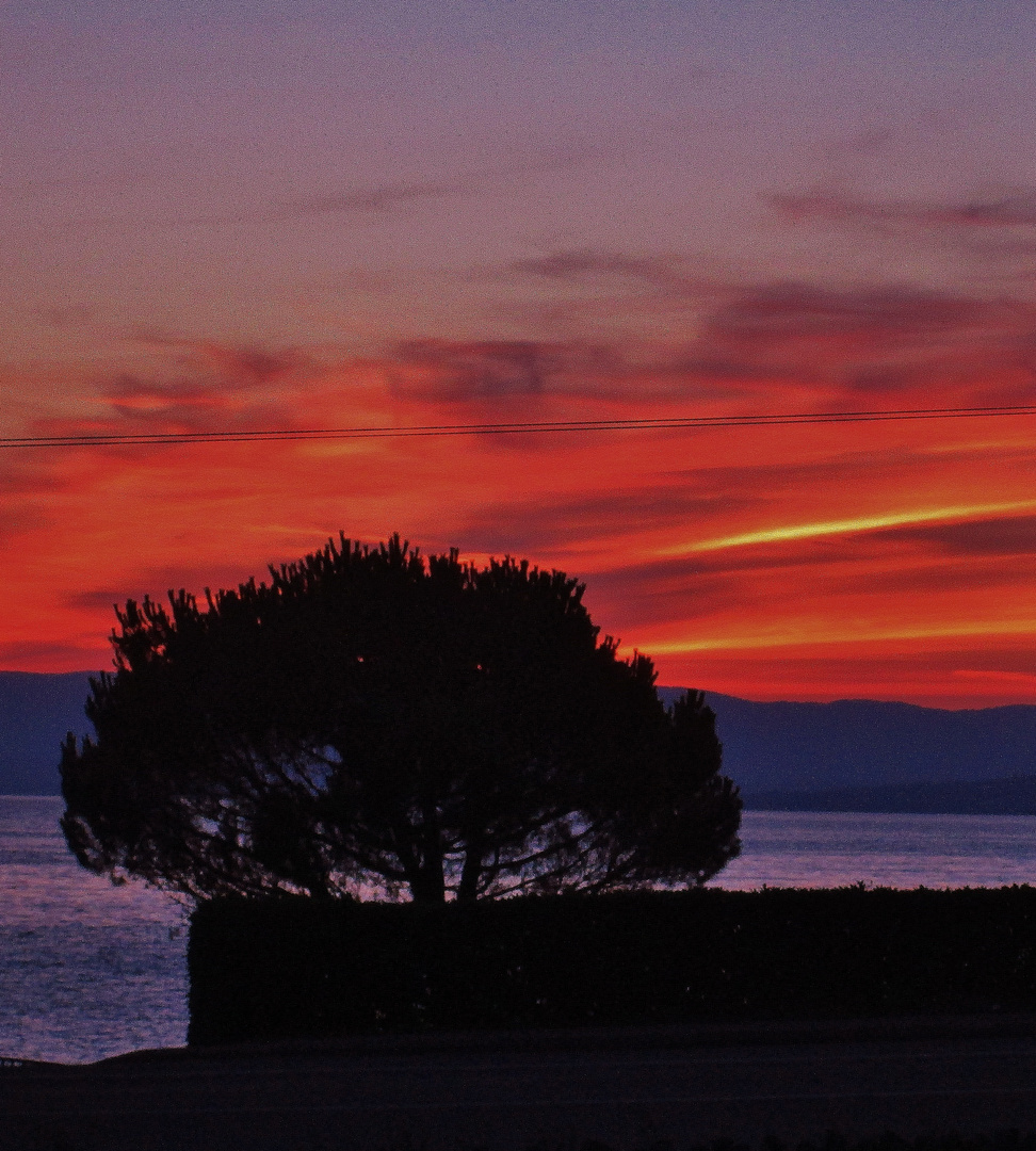 LAC LEMAN