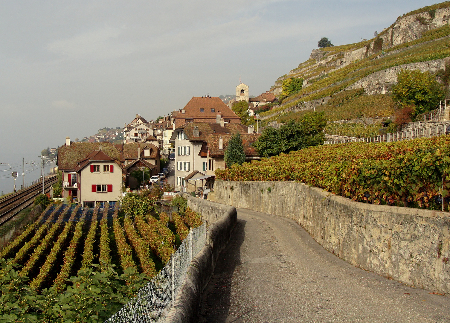 Lac Léman au novembre / en noviembre / im November..01