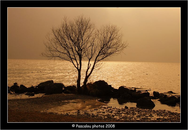 Lac Léman