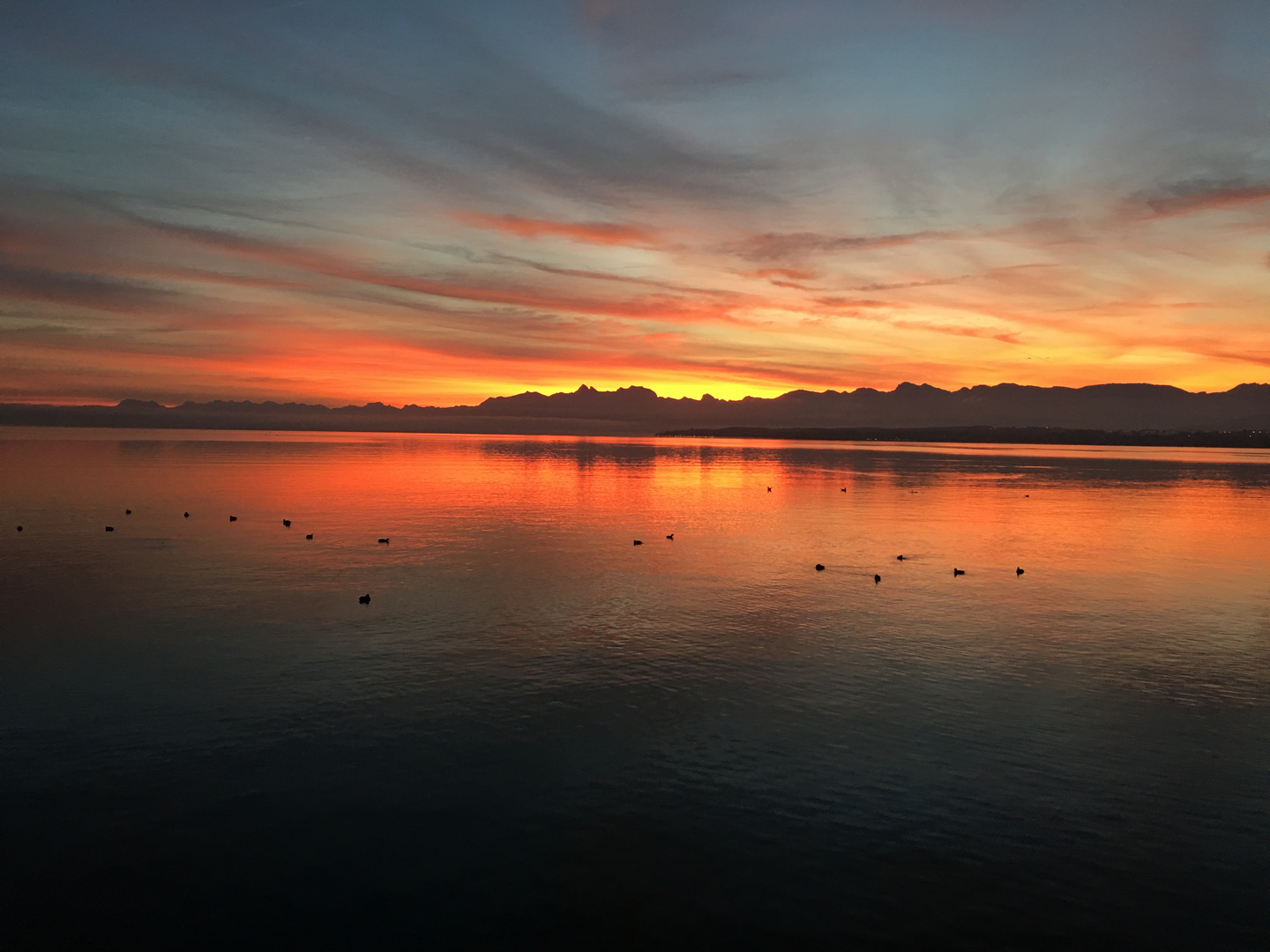 Lac Léman