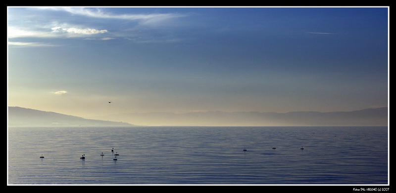 Lac Léman épuré