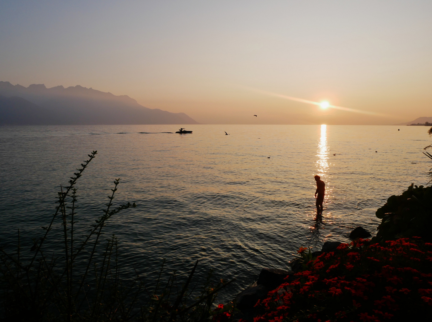 Lac Léman et son coucher de soleil