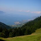 Lac Léman ( Genfersee)