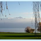 Lac Leman (Genfersee), Lausanne