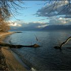 Lac Leman II