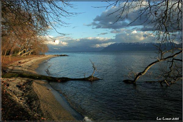 Lac Leman II