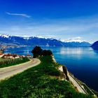 Lac Leman Suisse