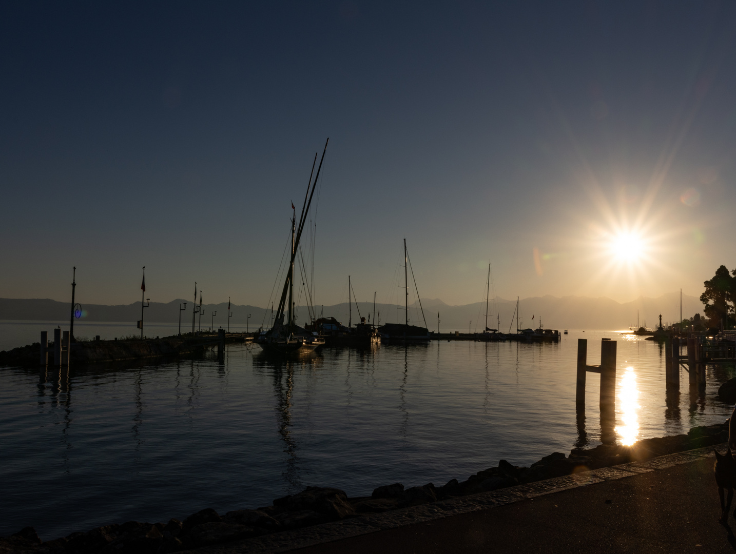 Lac Lemon bei Evian am frühen Morgen 