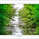 Lac Léon (Les Landes)