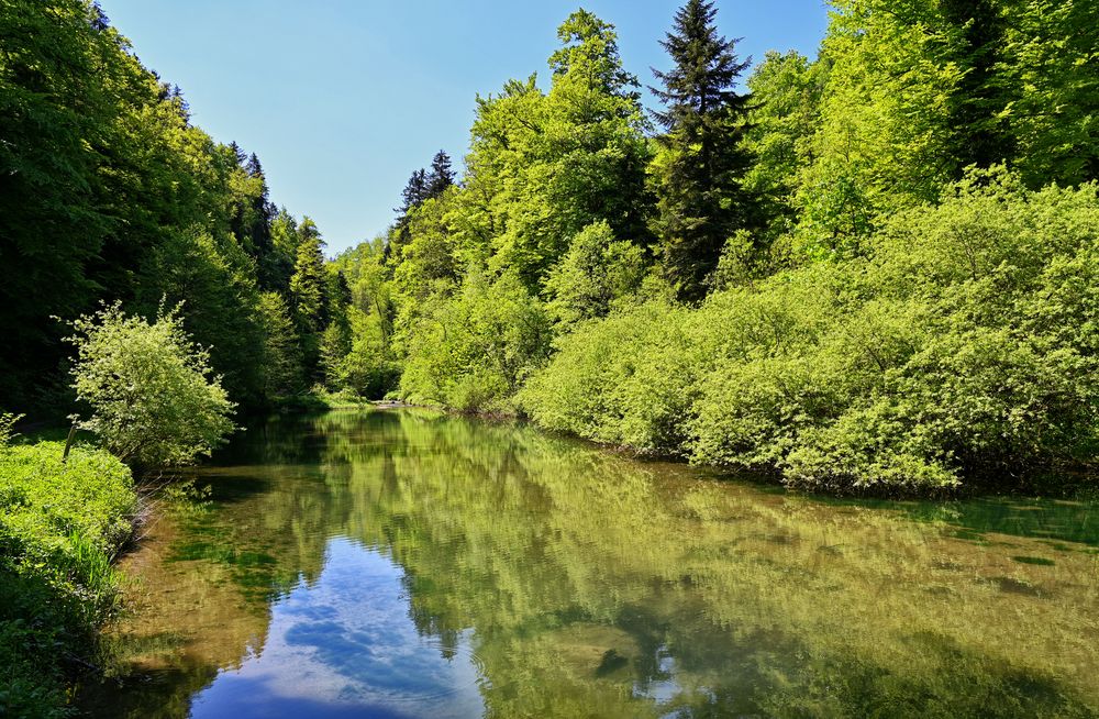 lac lucelle