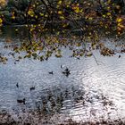 lac marion Biarritz