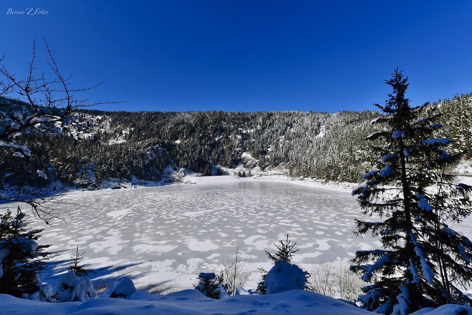 lac noir en hiver