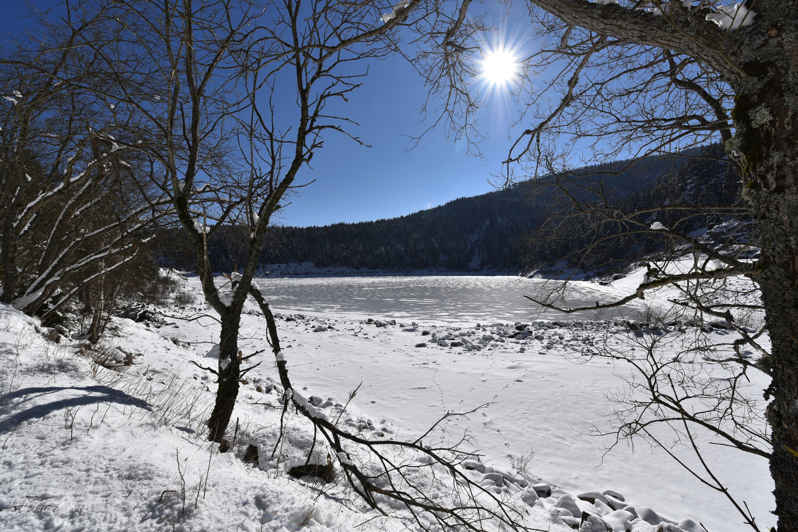 Lac noir en lumière