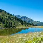 Lac Noir - Tracouet