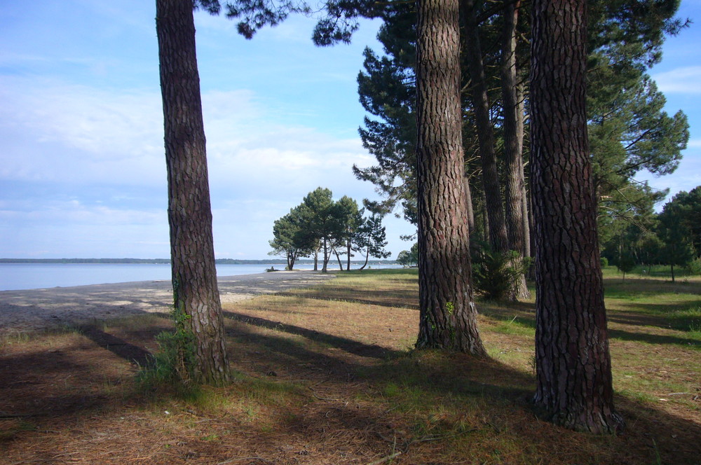 Lac nord biscarrosse